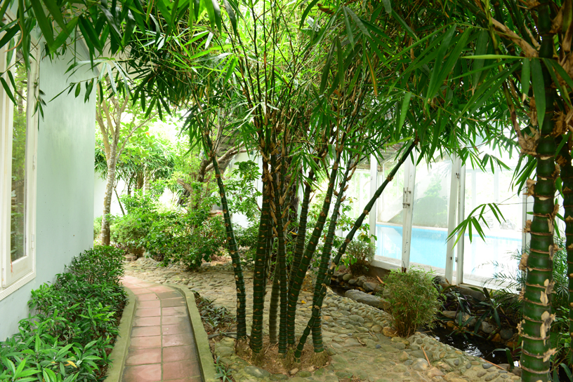Khu sân vườn